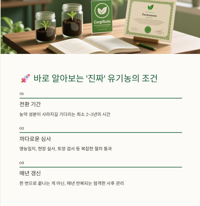 유기농 식품