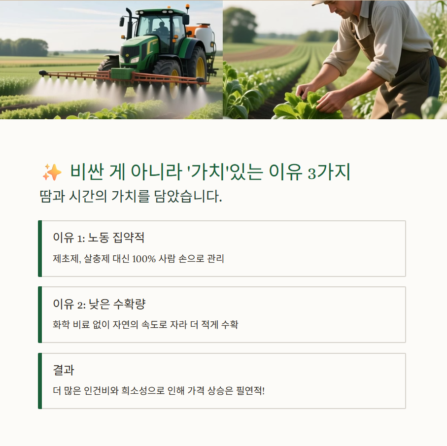 유기농 식품