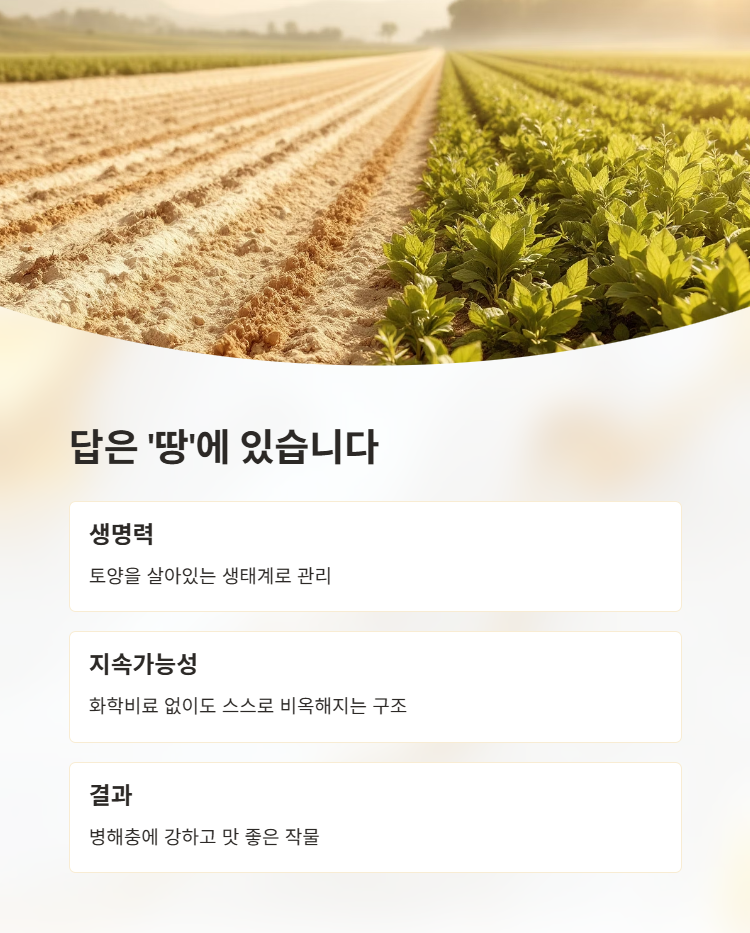유기농 토양