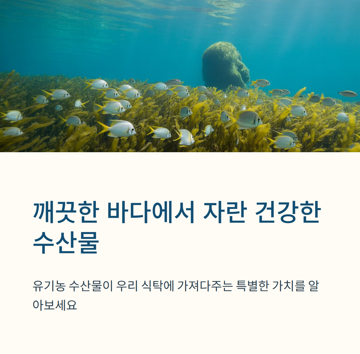 바다에도 유기농이 있다? 유기농 수산물 인증 기준 A to Z 15일차